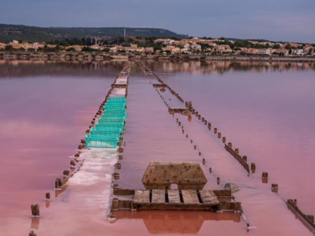 Villa Tamaris Gruissan Esterno foto